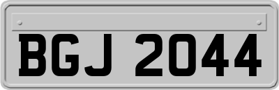 BGJ2044