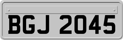 BGJ2045