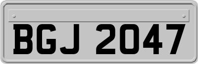 BGJ2047