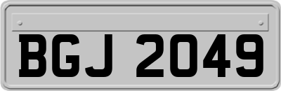 BGJ2049