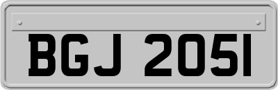 BGJ2051