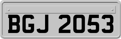 BGJ2053