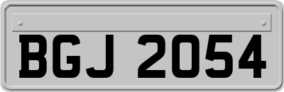 BGJ2054