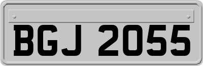 BGJ2055