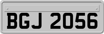 BGJ2056