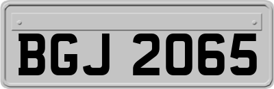 BGJ2065