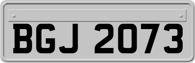 BGJ2073