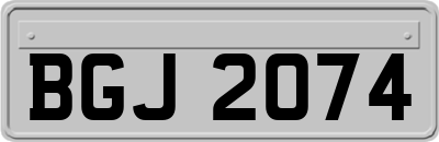 BGJ2074
