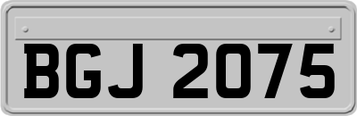 BGJ2075