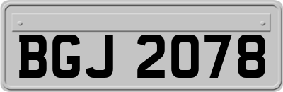 BGJ2078