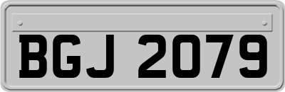 BGJ2079