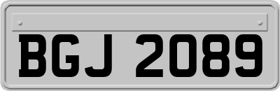 BGJ2089