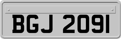 BGJ2091