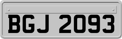 BGJ2093