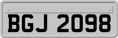 BGJ2098