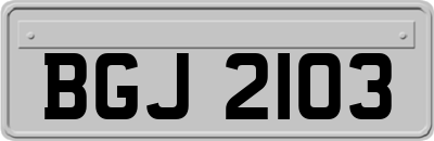 BGJ2103