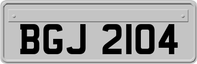 BGJ2104