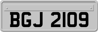 BGJ2109