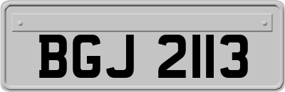 BGJ2113