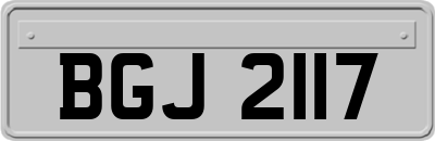BGJ2117