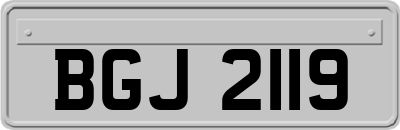 BGJ2119