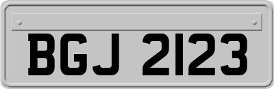 BGJ2123