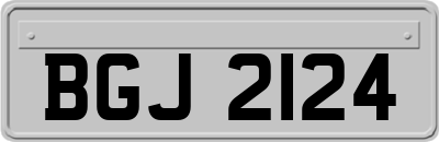 BGJ2124