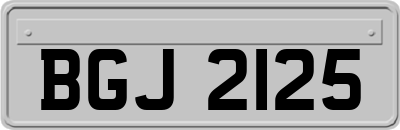 BGJ2125