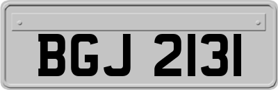 BGJ2131