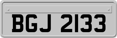 BGJ2133