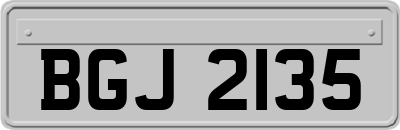 BGJ2135