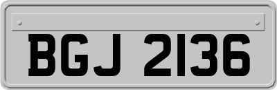 BGJ2136