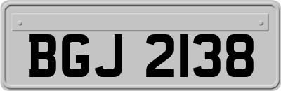 BGJ2138