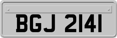 BGJ2141