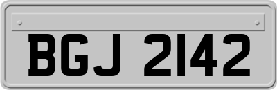 BGJ2142