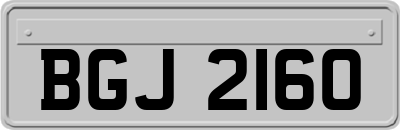 BGJ2160