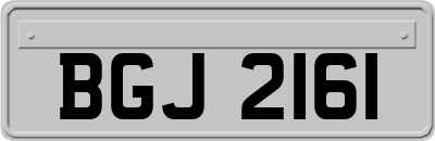 BGJ2161