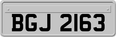 BGJ2163
