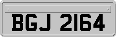 BGJ2164