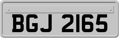 BGJ2165