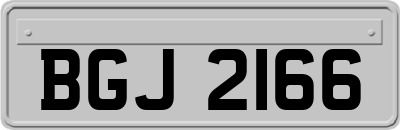 BGJ2166