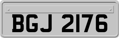 BGJ2176