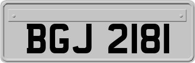 BGJ2181
