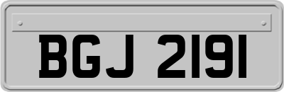 BGJ2191