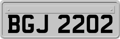 BGJ2202