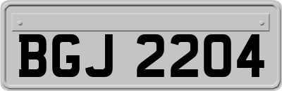 BGJ2204