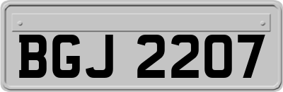 BGJ2207