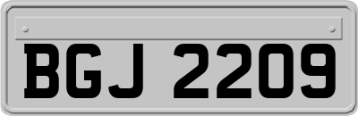 BGJ2209