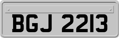 BGJ2213