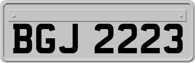 BGJ2223